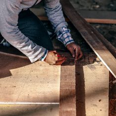 igor-ovsyannykov-219666